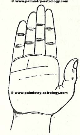 palmistry pdf in tamil free 17