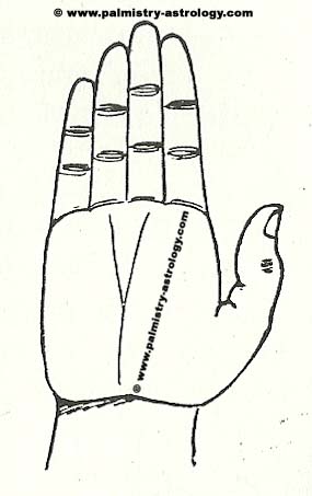cast a vedic astrology through palm reading